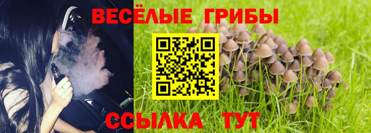 сколько стоит  Вход с VPN  Новокубанск  Псилоцибиновые грибы GOLDEN TEACHER 